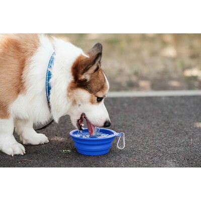 Składana miska dla psa | Platora z nadrukiem Twojego logo, materiał: tpr, kolor: niebieski Składana miska dla psa | Platora z nadrukiem Twojego logo, materiał: tpr, kolor: niebieski