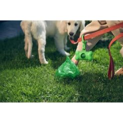 Zasobnik z woreczkami na psie odchody | Zoga z nadrukiem Twojego logo, materiał: pp, kolor: zielony